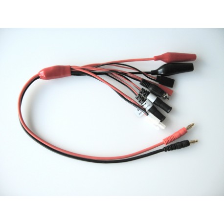 Multiadattatore Carica Batteria Professionale