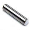 Perno Pistone CEN 2x10  .16
