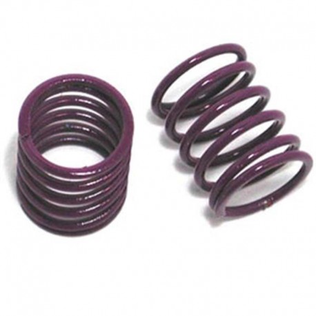 Molle Viola Anteriori 1.6  MUGEN