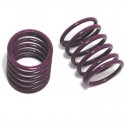 Molle Viola Anteriori 1.6  MUGEN