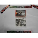 Kit cuscinetti completo CZ1