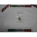 Pignone Campana 19 denti